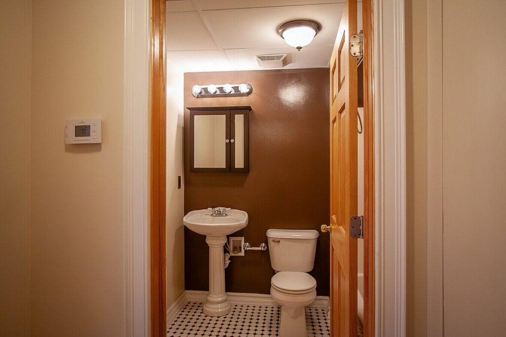 the-james-scott-mansion-detroit-mi-the-rebel (1)